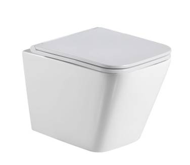 WeltWasser Gelbach 043 GL-WT без смывного обода с микролифтом