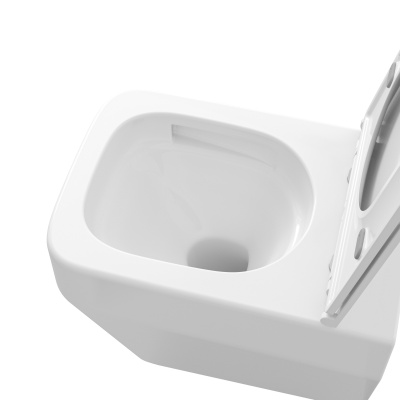 Grossman GR-4410SQ (530х365х370) безободковый,смыв торнадо,белый с тонкой крышкой,микролифт,1 место