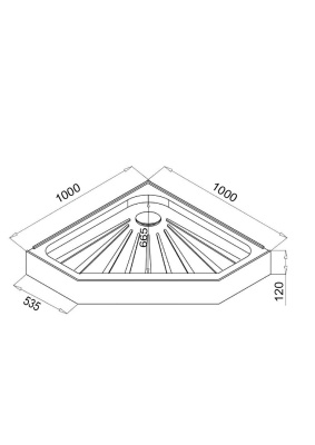 Ceruttispa P101