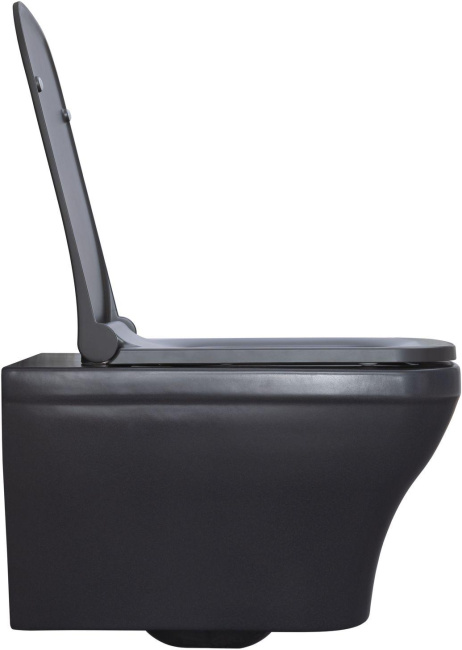 Allen Brau Infinity 4.21011.AN антрацит