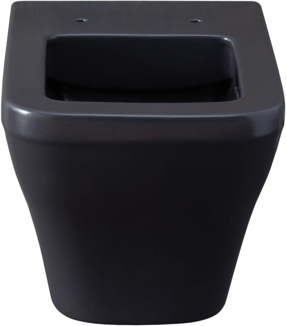 Allen Brau Infinity 4.21011.AN антрацит