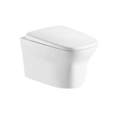 Ceruttispa Ami Aria CT8780