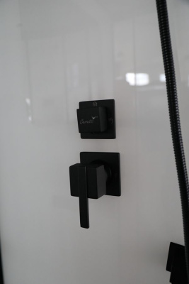 Ceruttispa Viva91B