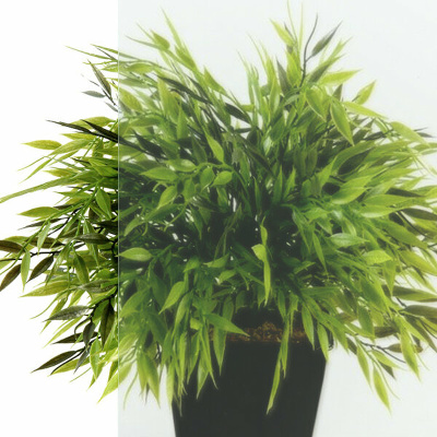 SanDav Вента-Блэк 80х80 (Щ0000057857) без поддона