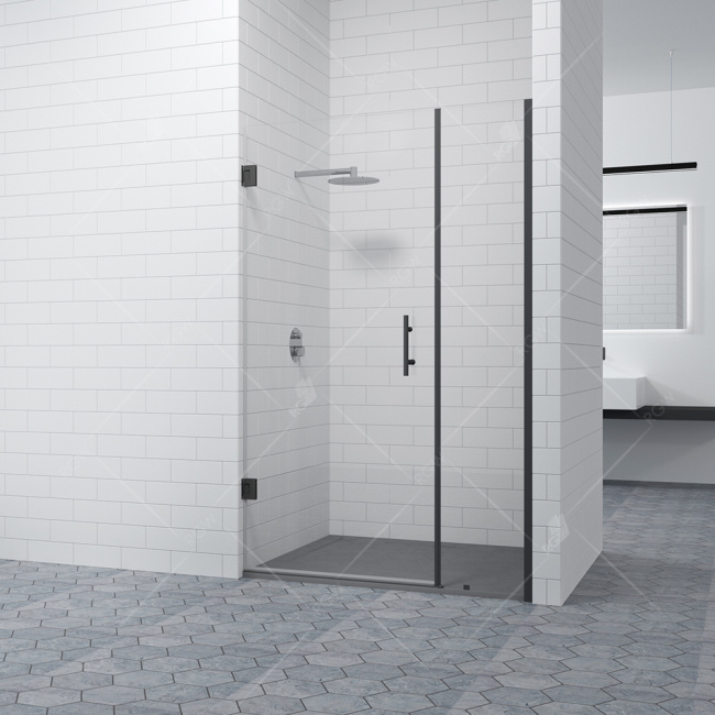 RGW HO-012-B Чёрный/Прозрачное/8 мм/100*195