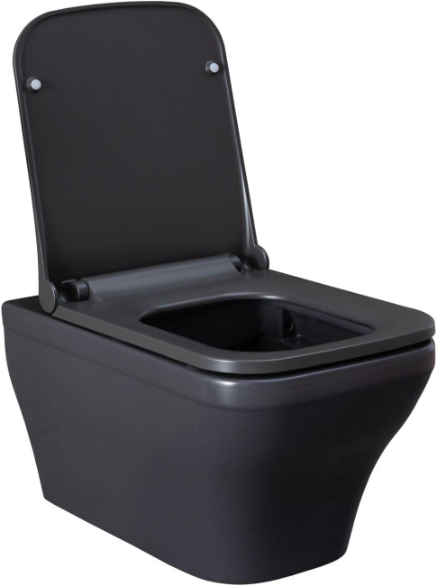 Allen Brau Infinity 4.21011.AN антрацит