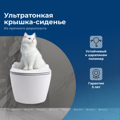 Aquanet Smart W Tornado с сиденьем (Soft Close-SLIMSEAT) подвесной (332172)