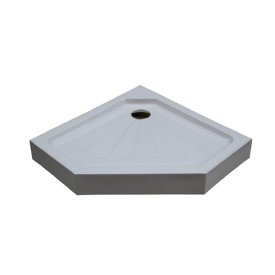 Ceruttispa P101